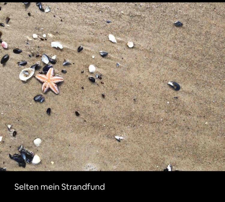 Die Kleine Acht - Direkt Am Strand เดียร์ฮาเกิน ภายนอก รูปภาพ