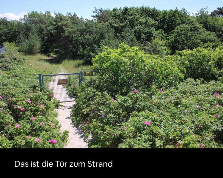 Die Kleine Acht - Direkt Am Strand เดียร์ฮาเกิน ภายนอก รูปภาพ