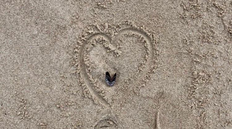 Die Kleine Acht - Direkt Am Strand เดียร์ฮาเกิน ภายนอก รูปภาพ